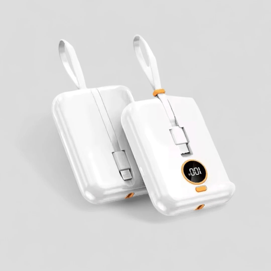 Fast Charging Power Bank - 20000mAh - Lightning + Type C ports