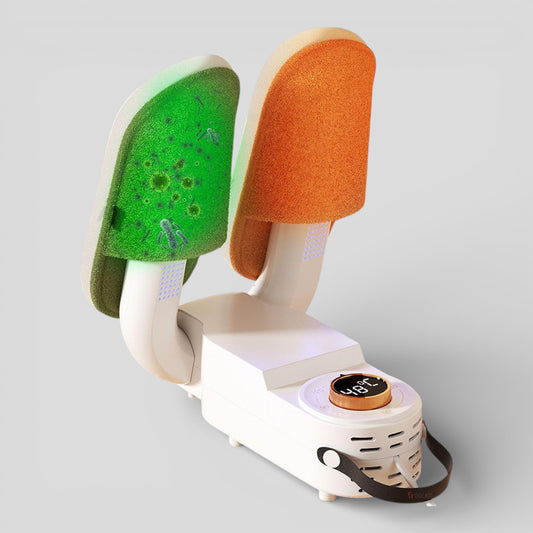 Intelligent Shoe Dryer