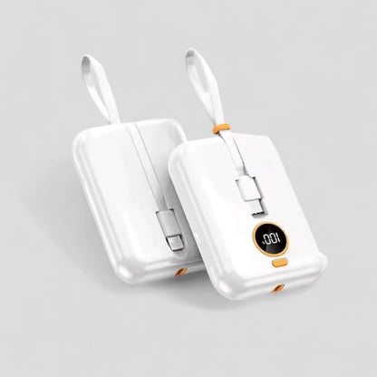 Fast Charging Power Bank - 20000mAh - Lightning + Type C ports