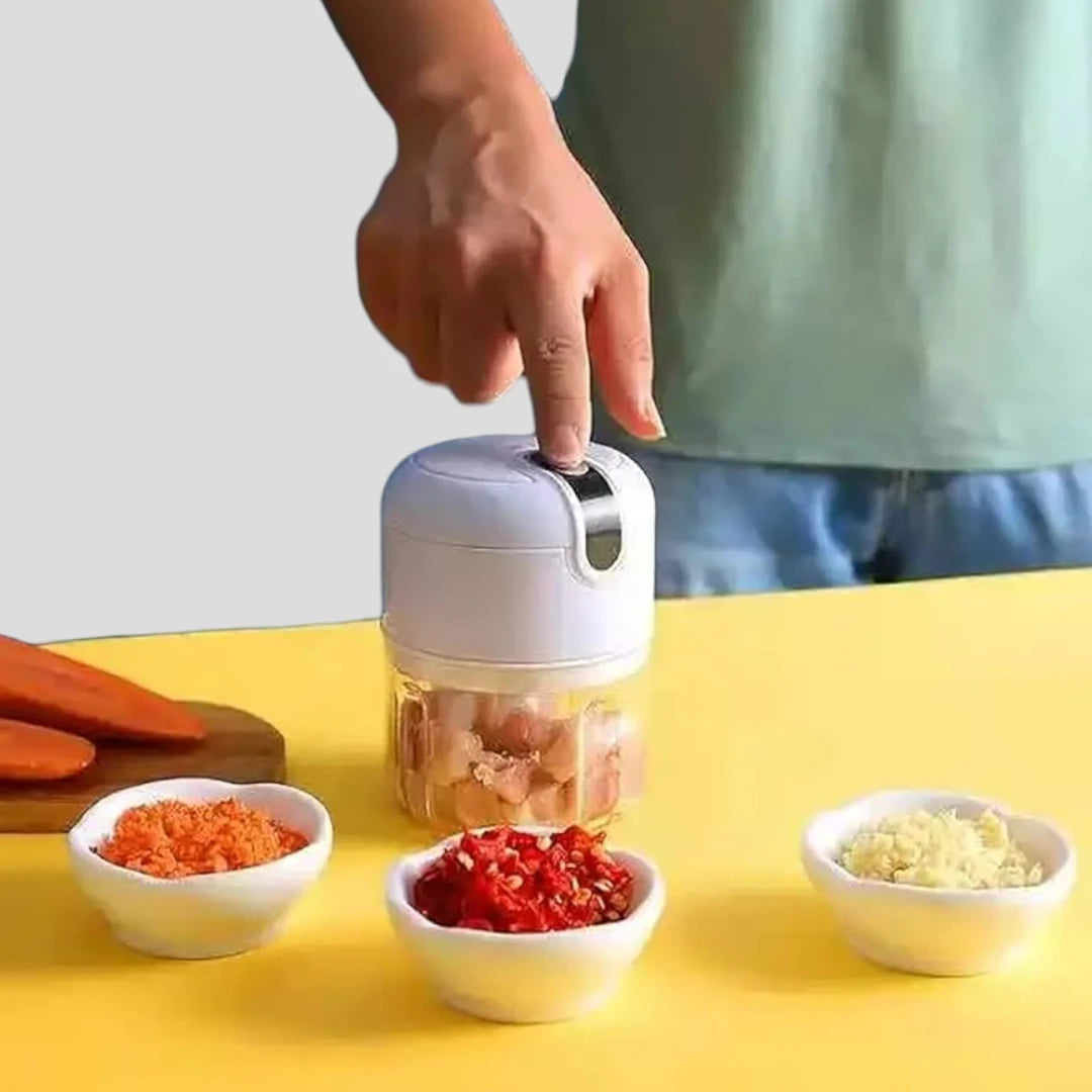 Electric Stainless Steel Chopper
