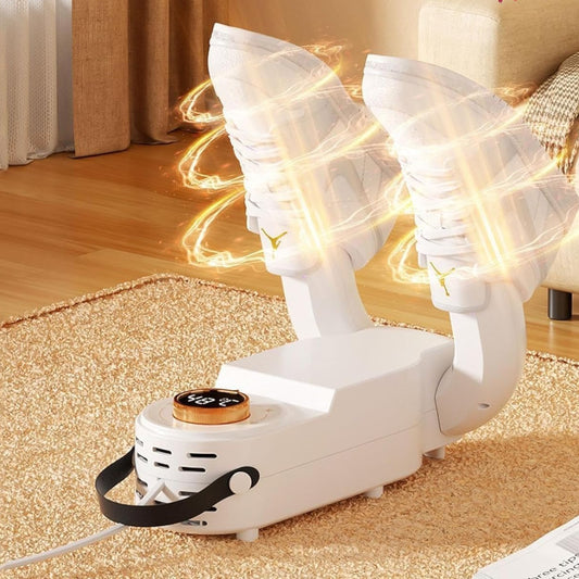 Intelligent Shoe Dryer
