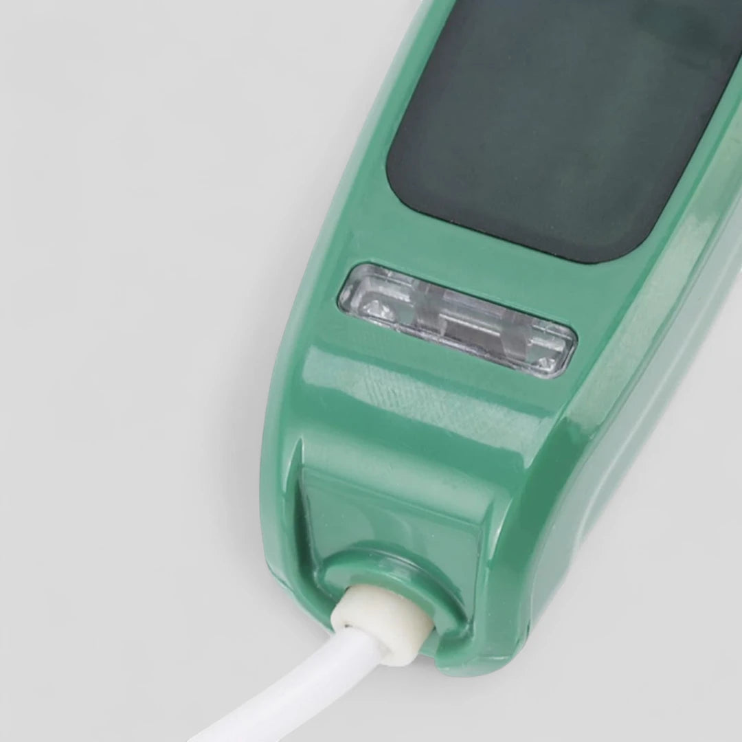 Portable Micro Steam Iron