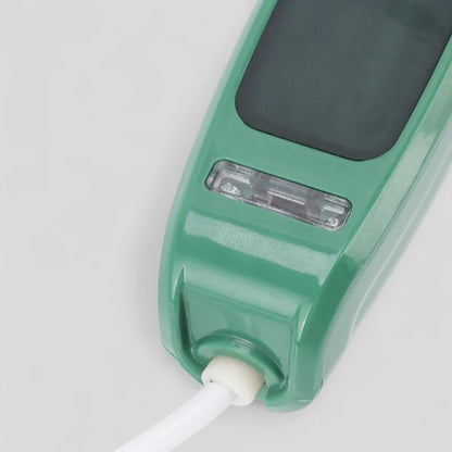 Portable Micro Steam Iron