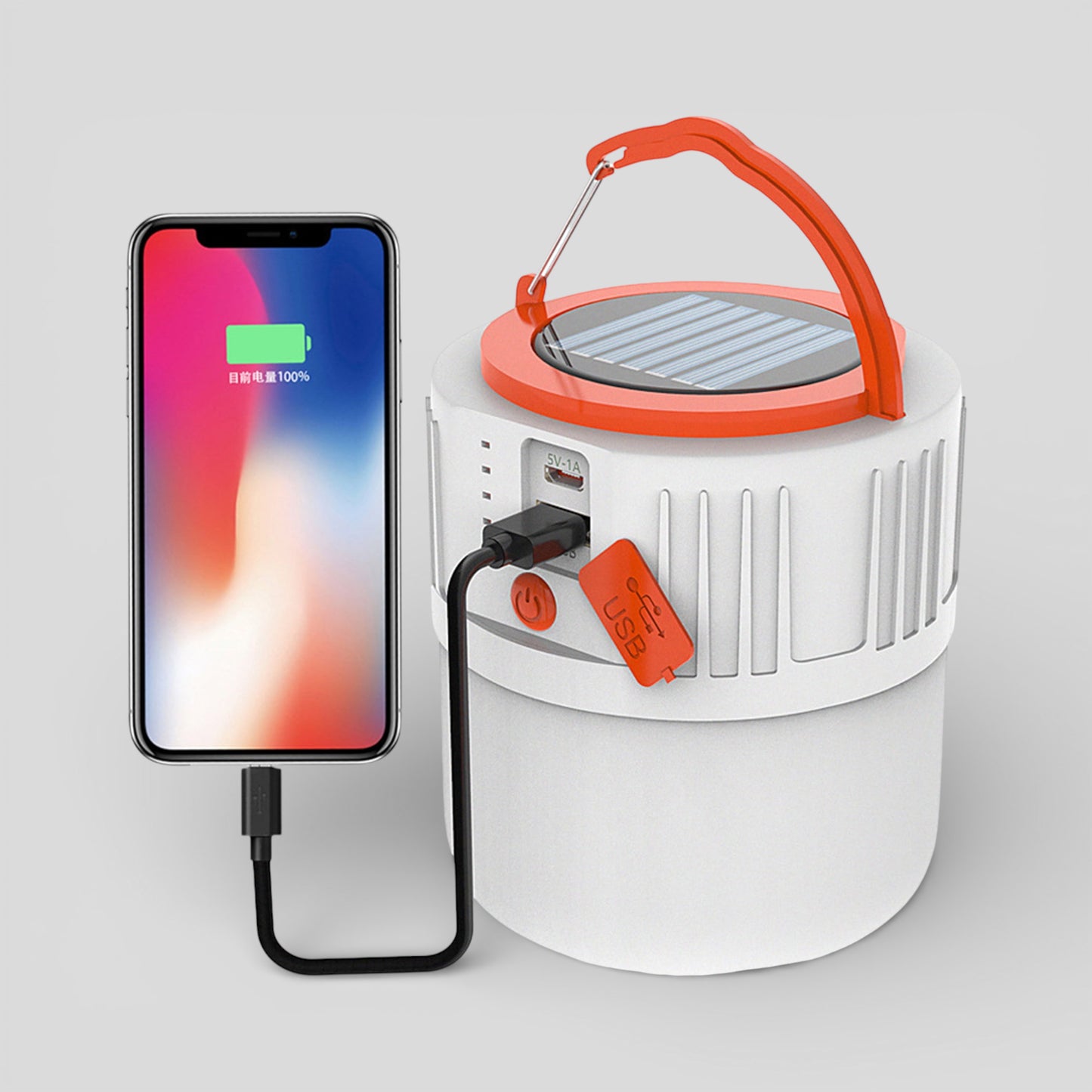 Solar Lamp With Mobile Phone Charging - 5W
